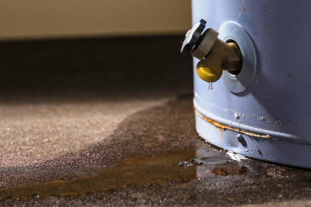 Best Water damage restoration cost  in Maple Lake, MN