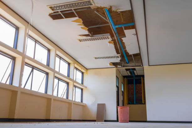  Maple Lake, MN Water damage restoration Pros