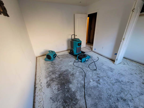 Best Residential water damage restoration  in Maple Lake, MN
