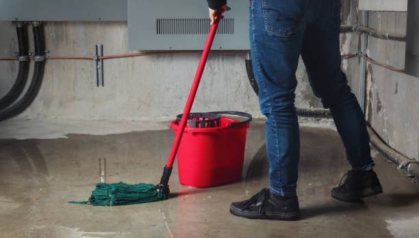 Best 24/7 water damage repair  in Maple Lake, MN