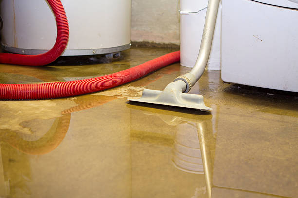 Best Carpet water damage restoration  in Maple Lake, MN
