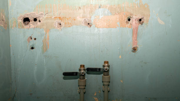 Best Water damage restoration insurance claims  in Maple Lake, MN