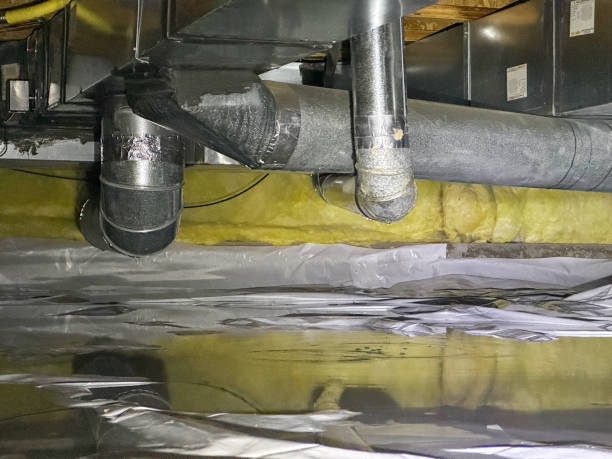 Best 24-hour water damage restoration  in Maple Lake, MN