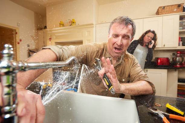Best Basement water damage restoration  in Maple Lake, MN
